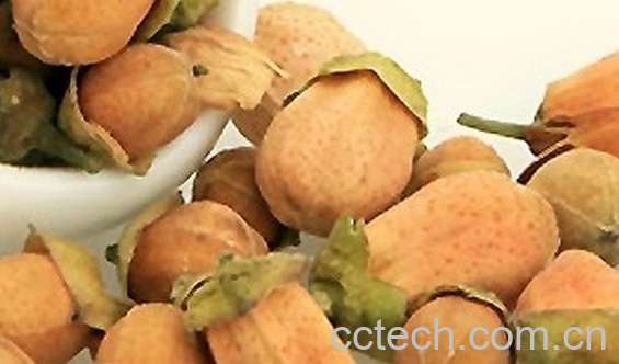 果蔬百科代代花茶的功效与作用-0