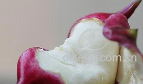 果蔬百科菱角的食用禁忌与注意事项-0