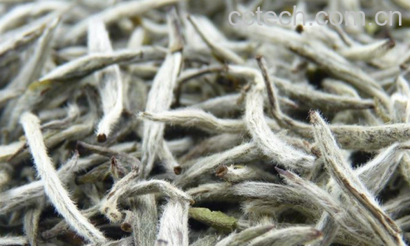 果蔬百科夏天喝什么茶好-0