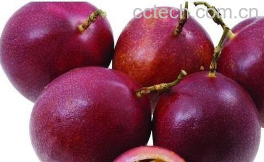 果蔬百科百香果的营养价值-0