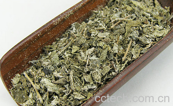 果蔬百科什么是溪黄茶-0