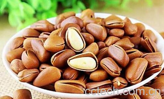 果蔬百科吃松仁能预防心脏病-0