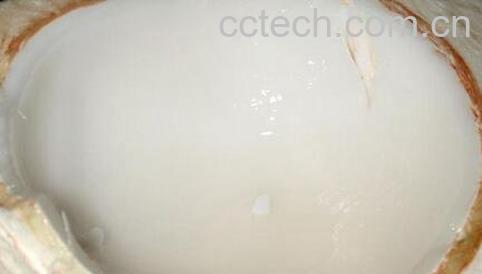 果蔬百科吃椰子肉的好处有哪些-0