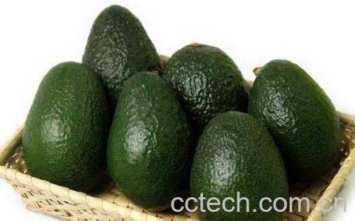 果蔬百科女人吃牛油果的好处有哪些-0