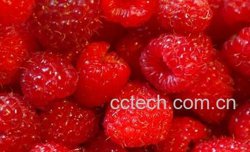 果蔬百科山莓的营养价值与功效-0