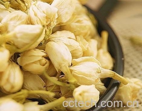 果蔬百科茉莉花泡水的好处和坏处-0