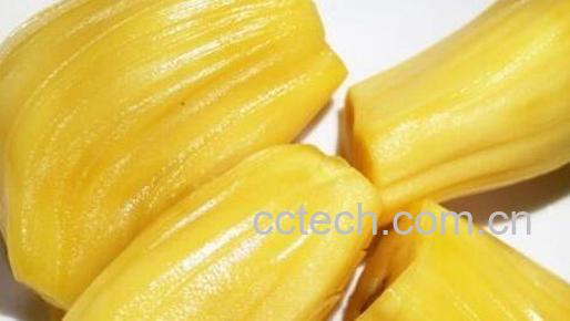 果蔬百科女人吃菠萝蜜的好处有哪些 -0