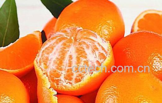果蔬百科芦柑的营养价值-0