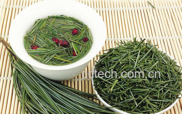 果蔬百科松针茶的功效与作用-0
