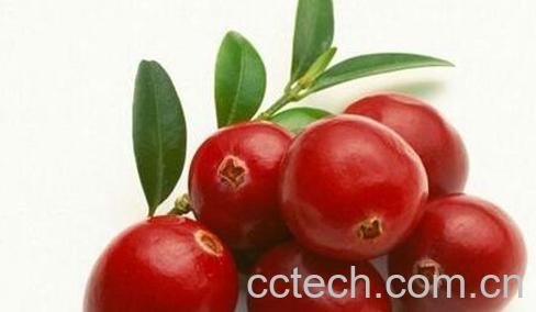 果蔬百科吃蔓越莓的好处有哪些-0