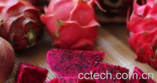 果蔬百科怎么选购火龙果-0