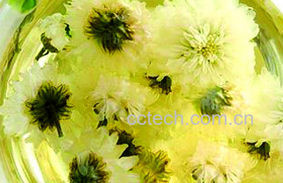 果蔬百科夏天喝什么茶好-0