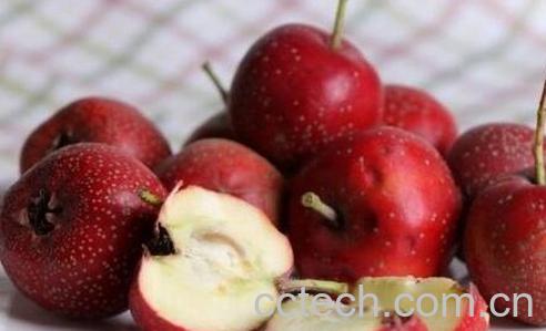 果蔬百科山楂怎么吃效果好-0