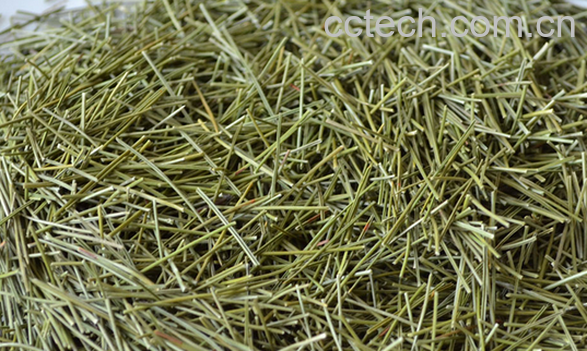 果蔬百科全松茶的功效与作用-0