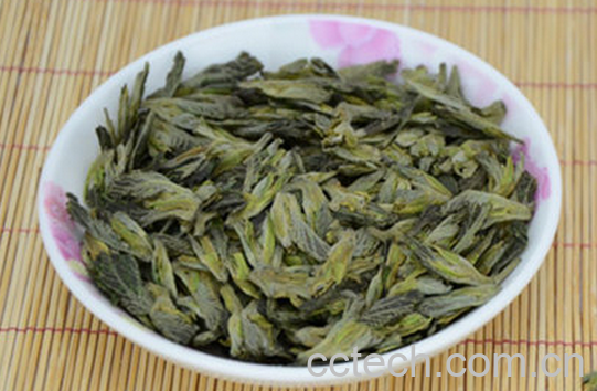 果蔬百科桑芽茶的功效与作用-0