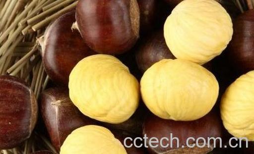 果蔬百科挑选栗子的小窍门-0