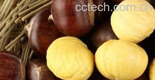 果蔬百科罗布麻茶的功效与作用-0