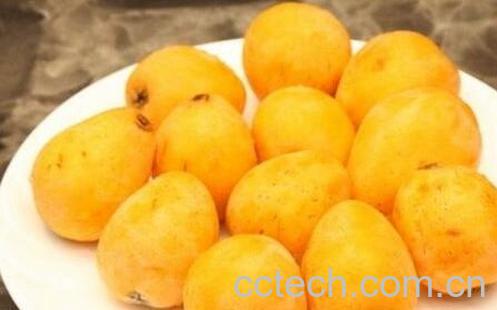 果蔬百科枇杷的食用方法与注意事项-0