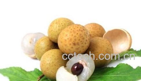 果蔬百科秋天能吃龙眼吗-0