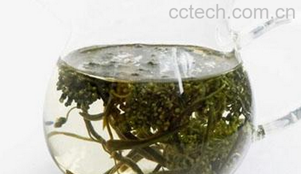 果蔬百科参花补气茶的泡法与功效-0