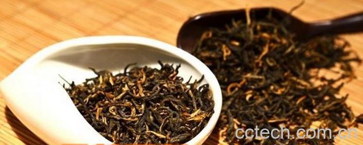 果蔬百科滇青茶的功效与作用-0