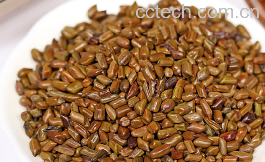 果蔬百科降压茶有哪些-0