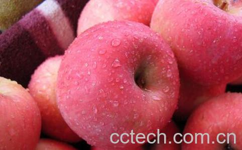 果蔬百科苹果的食疗功效与用法-0