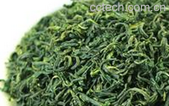 果蔬百科贵州雪芽的功效与作用-0