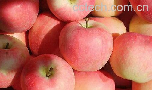 果蔬百科冬天吃哪些水果补水-0