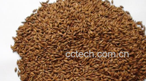 果蔬百科冬天喝什么茶最养胃-0