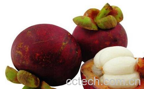 果蔬百科山竹不能和什么一起吃-0