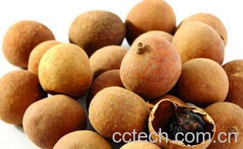 果蔬百科干桂圆怎么吃才有营养-0