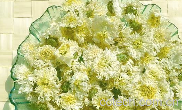 果蔬百科喝菊花茶的禁忌-0