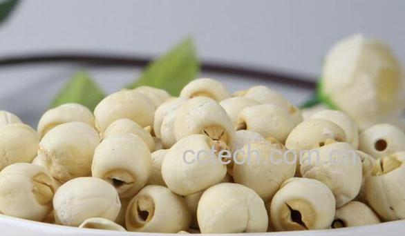 果蔬百科莲子的营养价值与功效-0