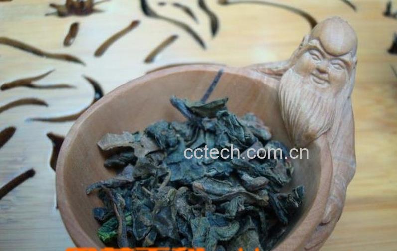 果蔬百科霜后桑叶茶的功效与作用-0