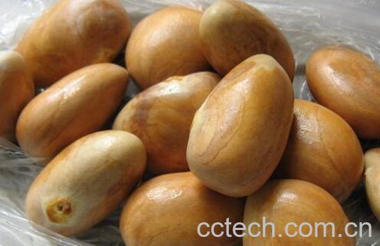 果蔬百科菠萝蜜核的营养价值与吃法-0