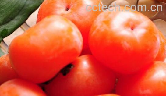 果蔬百科吃柿子的好处与坏处-0