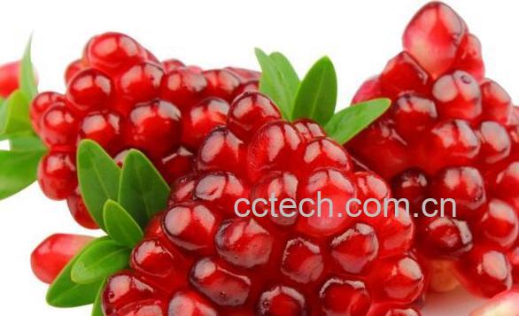 果蔬百科红石榴的功效与作用-0