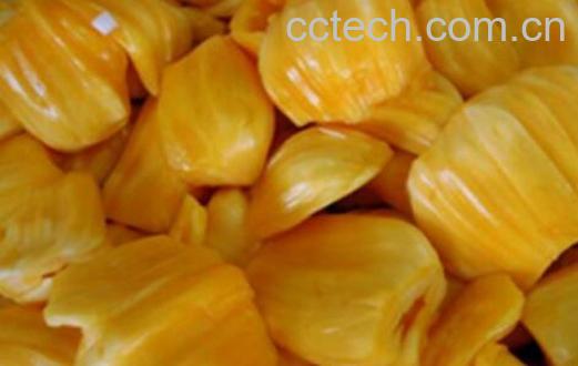 果蔬百科菠萝蜜的营养价值-0