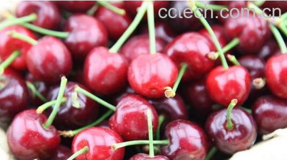 果蔬百科车厘子怎么保存-0