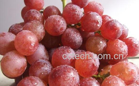 果蔬百科提子皮能吃吗-0