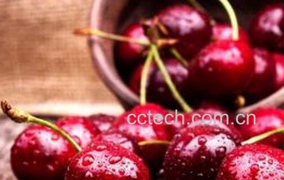 果蔬百科车厘子的功效与禁忌-0