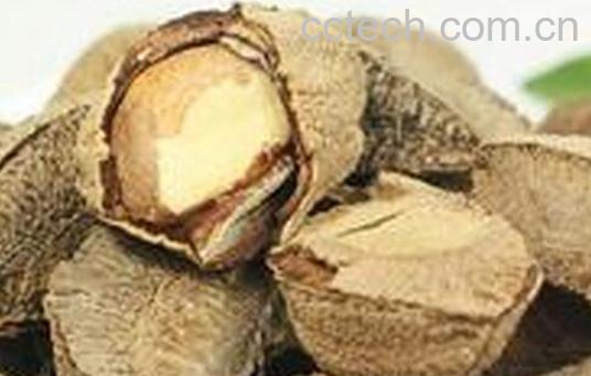 果蔬百科鲍鱼果的营养价值与功效-0