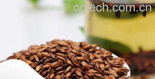 果蔬百科大麦茶的功效与作用-0