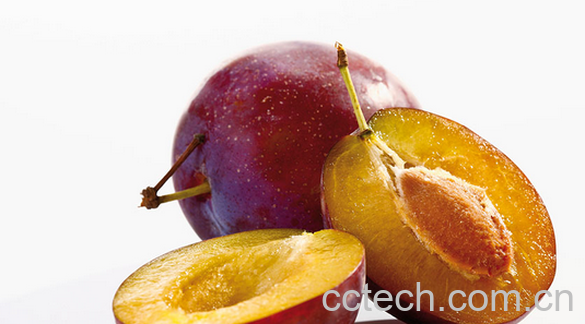 果蔬百科吃李子的禁忌-0