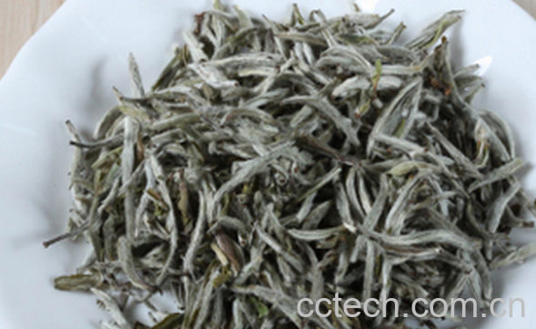 果蔬百科白茶的药用功效-0