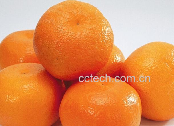 果蔬百科桔子的功效与作用-0