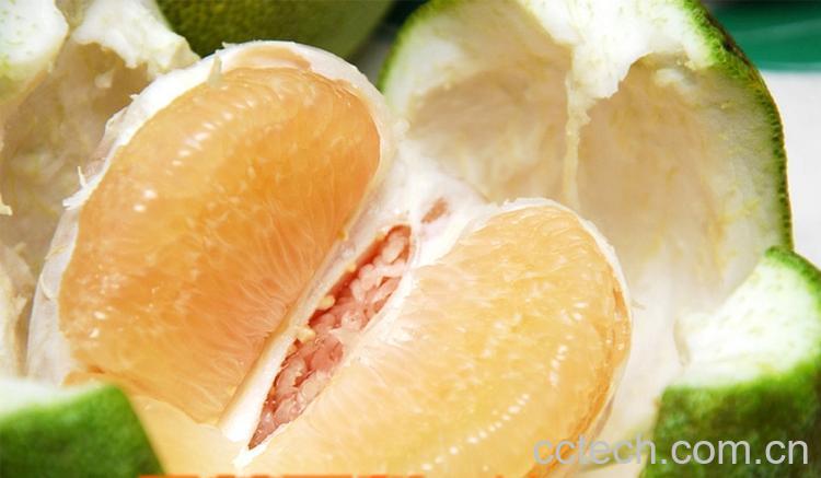 果蔬百科文旦和柚子的区别-0