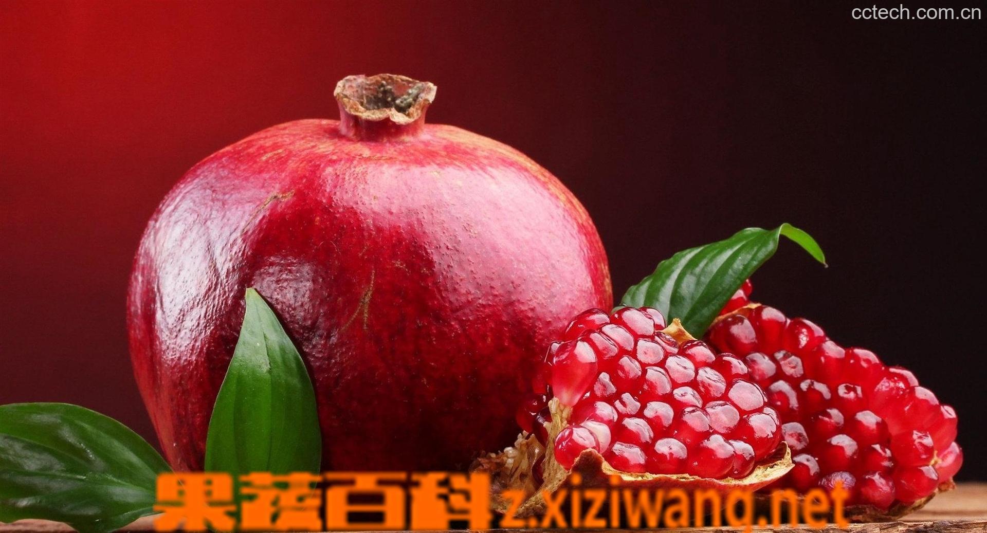 果蔬百科石榴肉的功效与作用-0