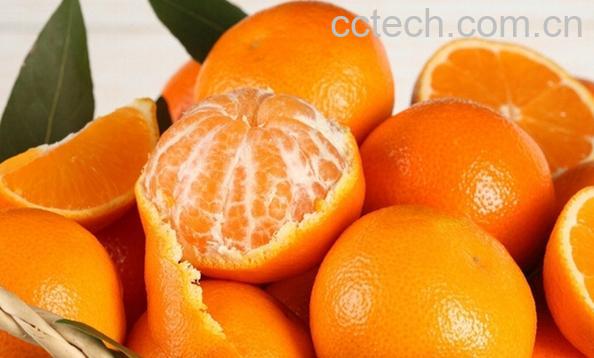 果蔬百科14_150729125655_1-0